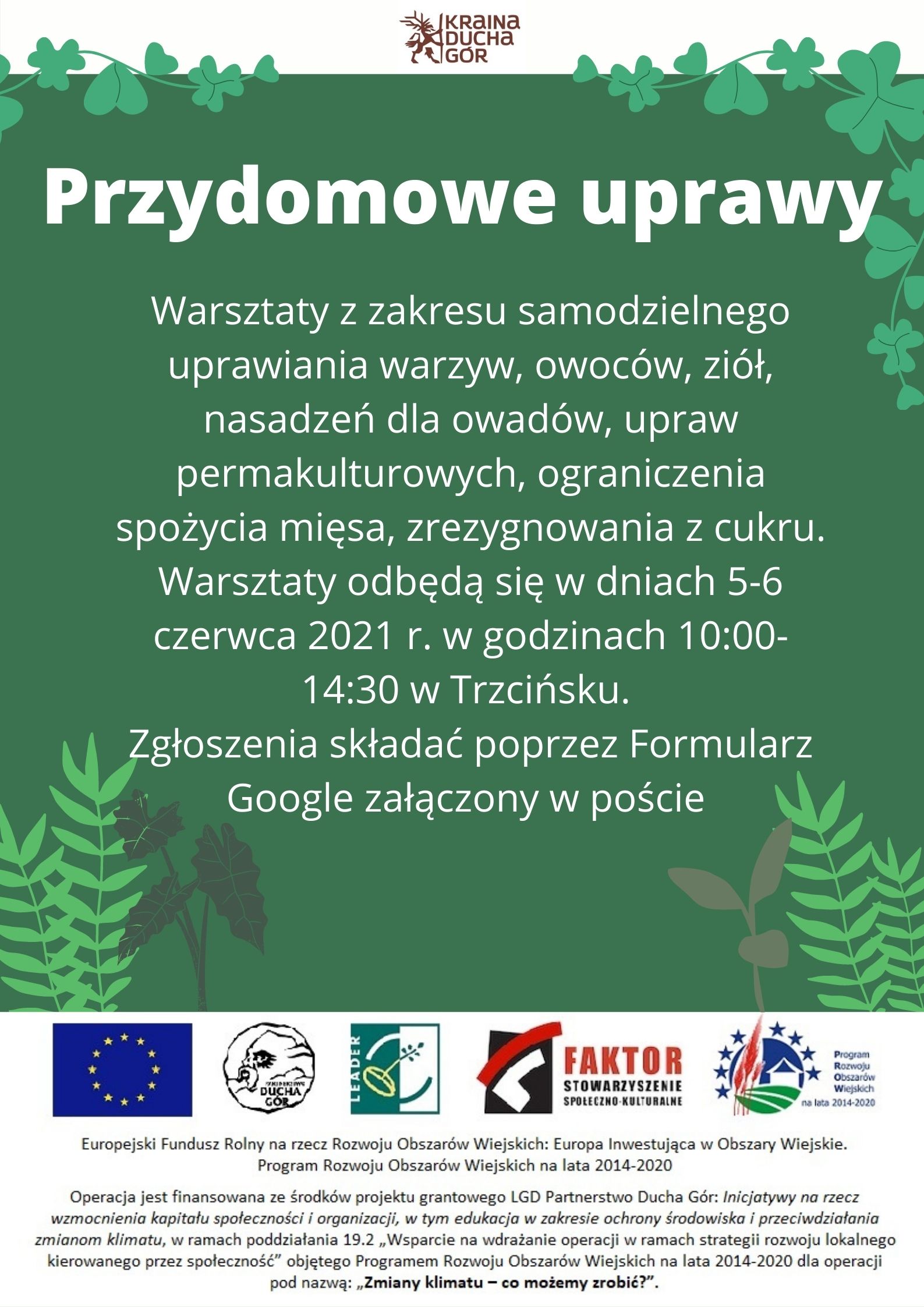 Przydomowe uprawy