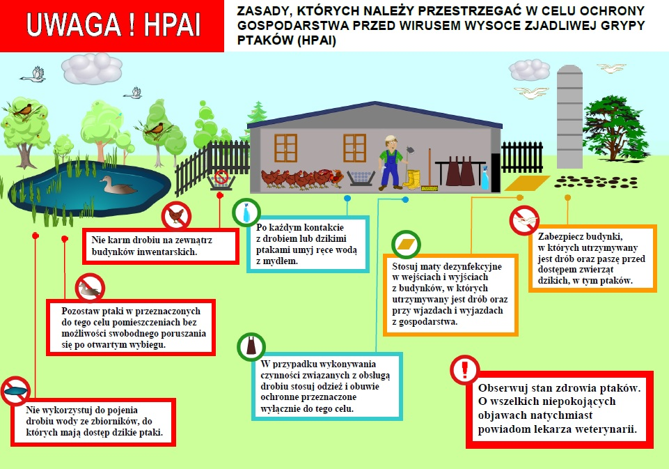 ULOTKA HPAI